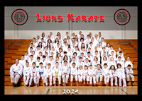 Lions Karate